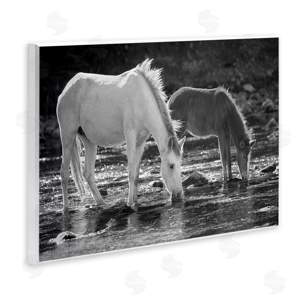 JG Studios Horses Drinking at Stream