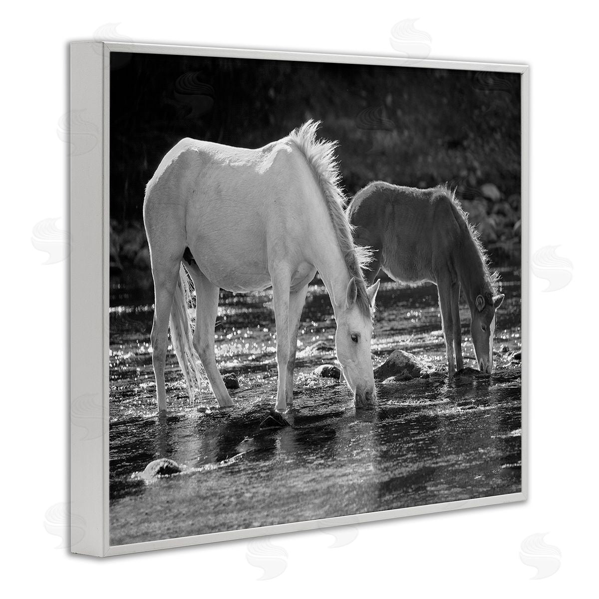 JG Studios Horses Drinking at Stream