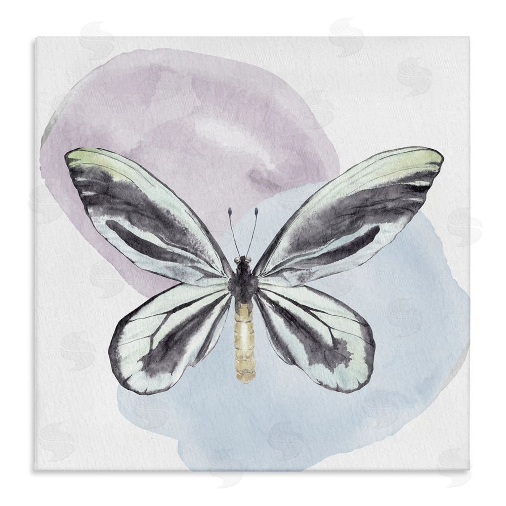 Kim Allen Butterfly with Pastel Shapes Stretched Canvas Wall Art Print