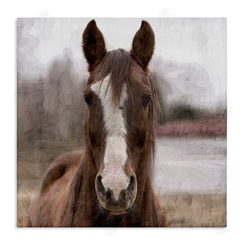 Kim Allen Brown Horse Portrait Stretched Canvas Wall Art Print