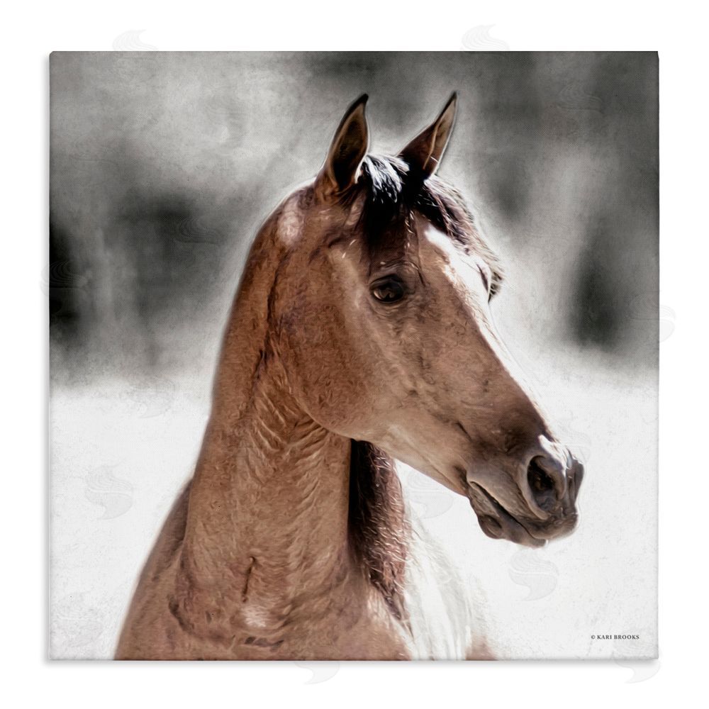 Kari Brooks Brown Foal in Snow Stretched Canvas Wall Art Print