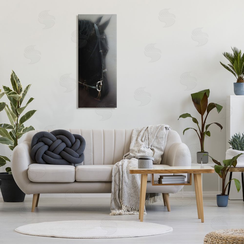 Kari Brooks Dim Black Horse Portrait