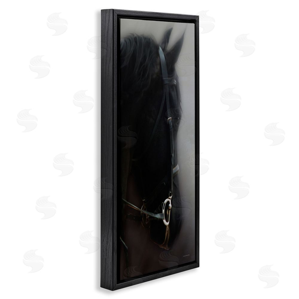 Kari Brooks Dim Black Horse Portrait