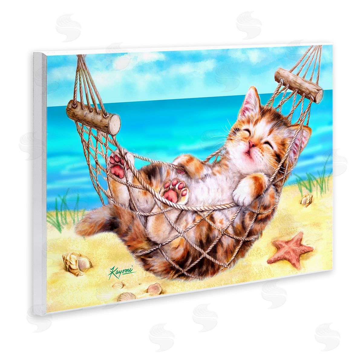 Kayomi Harai Kitten in Beach Hammock
