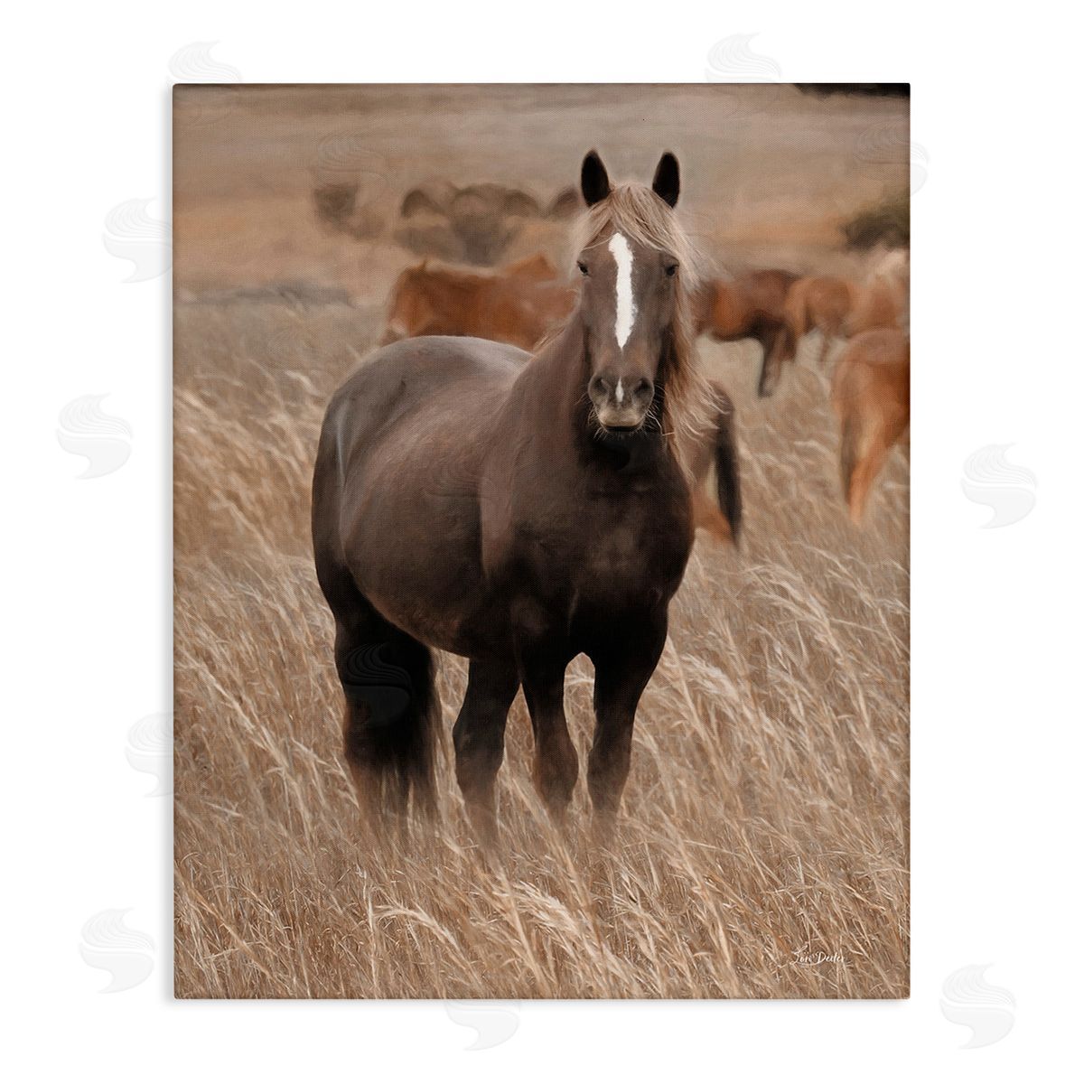 Lori Deiter Hazy Day Horse