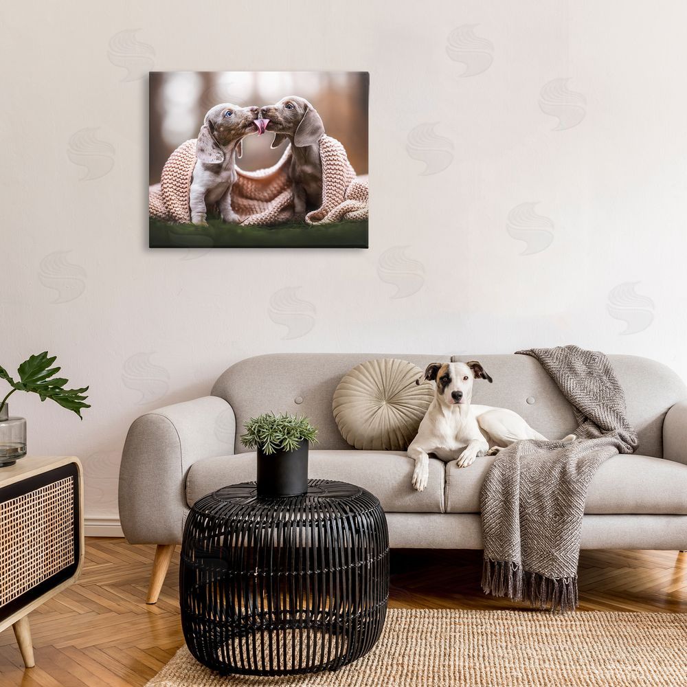 Natalie Grosse Puppies with Blanket