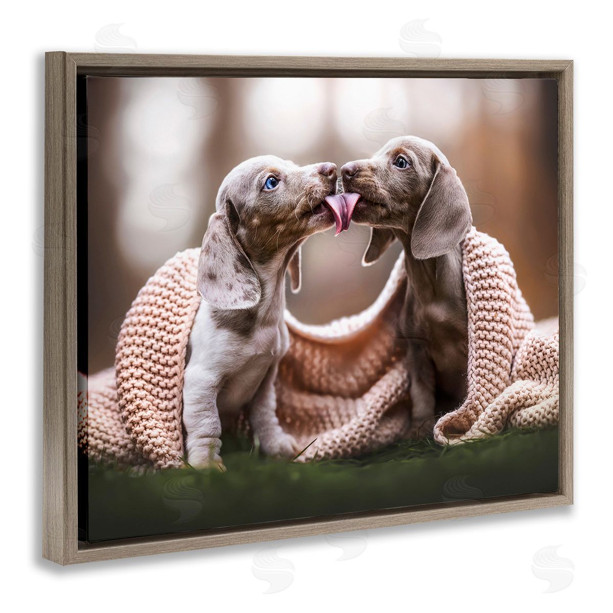 Natalie Grosse Puppies with Blanket