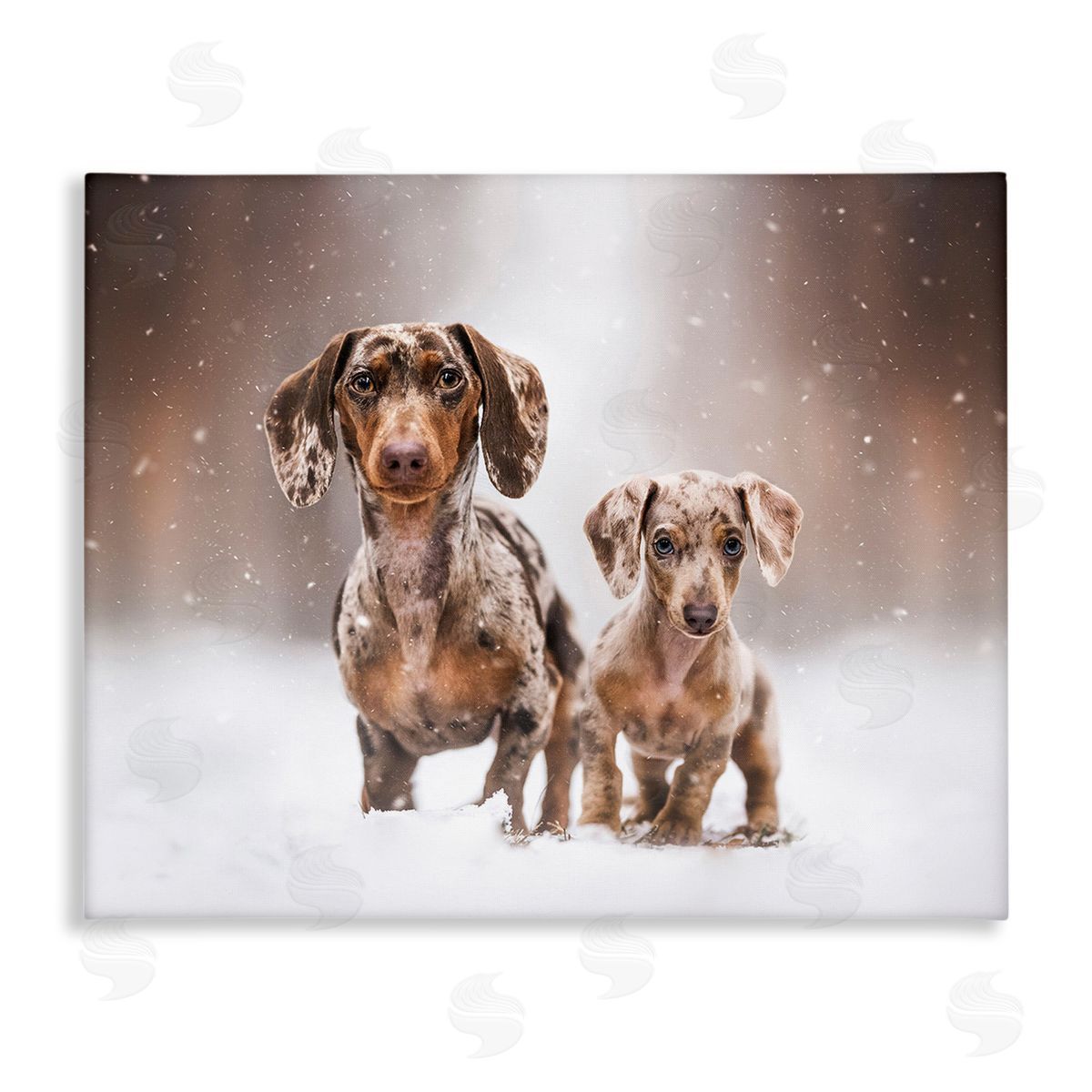 Natalie Grosse Playing Puppies in Snow