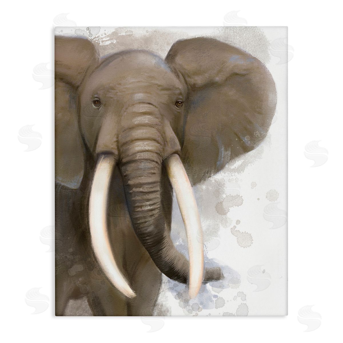 Matthew Piotrowicz Elephant & Modern Splash