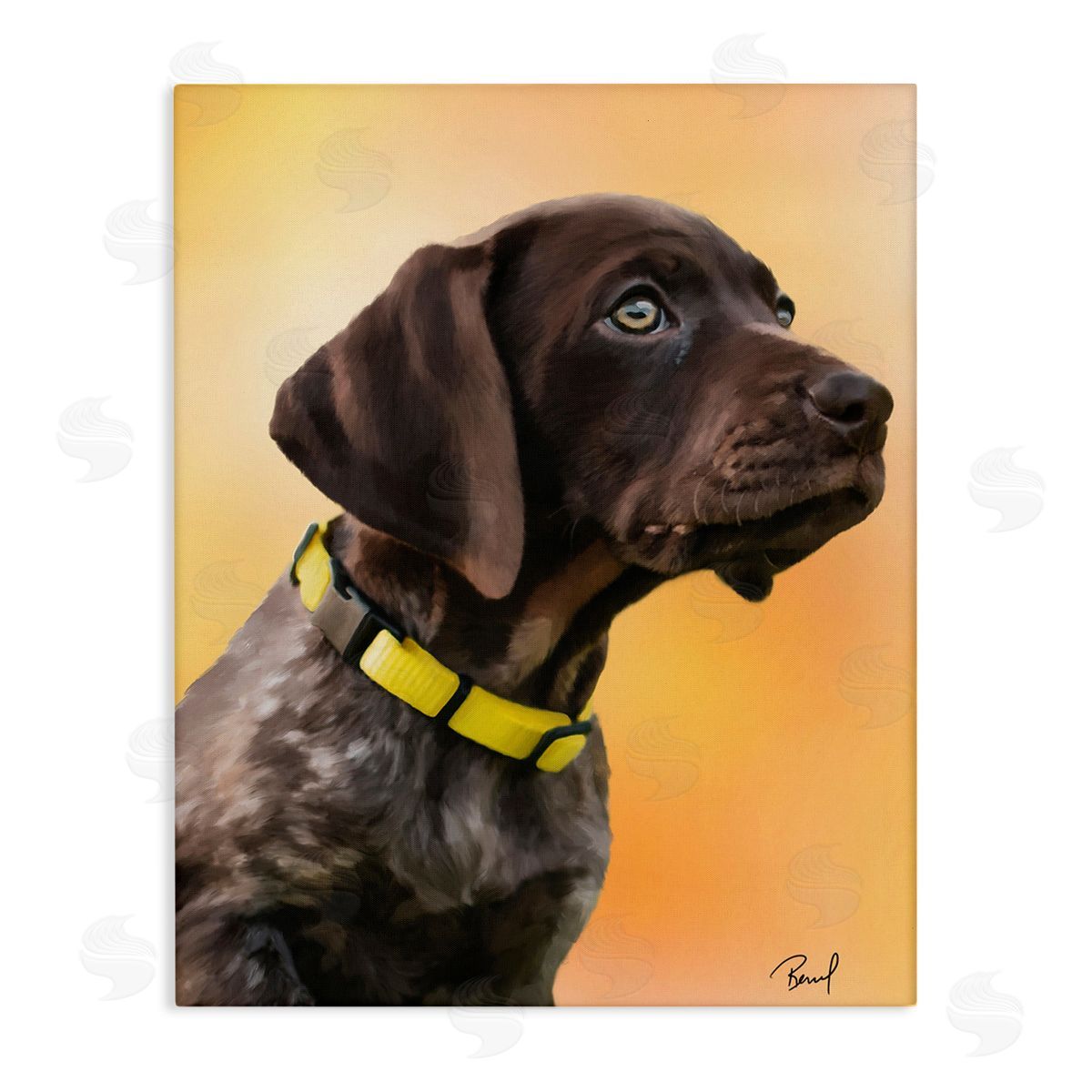 Renel Peters Lab Puppy on Orange