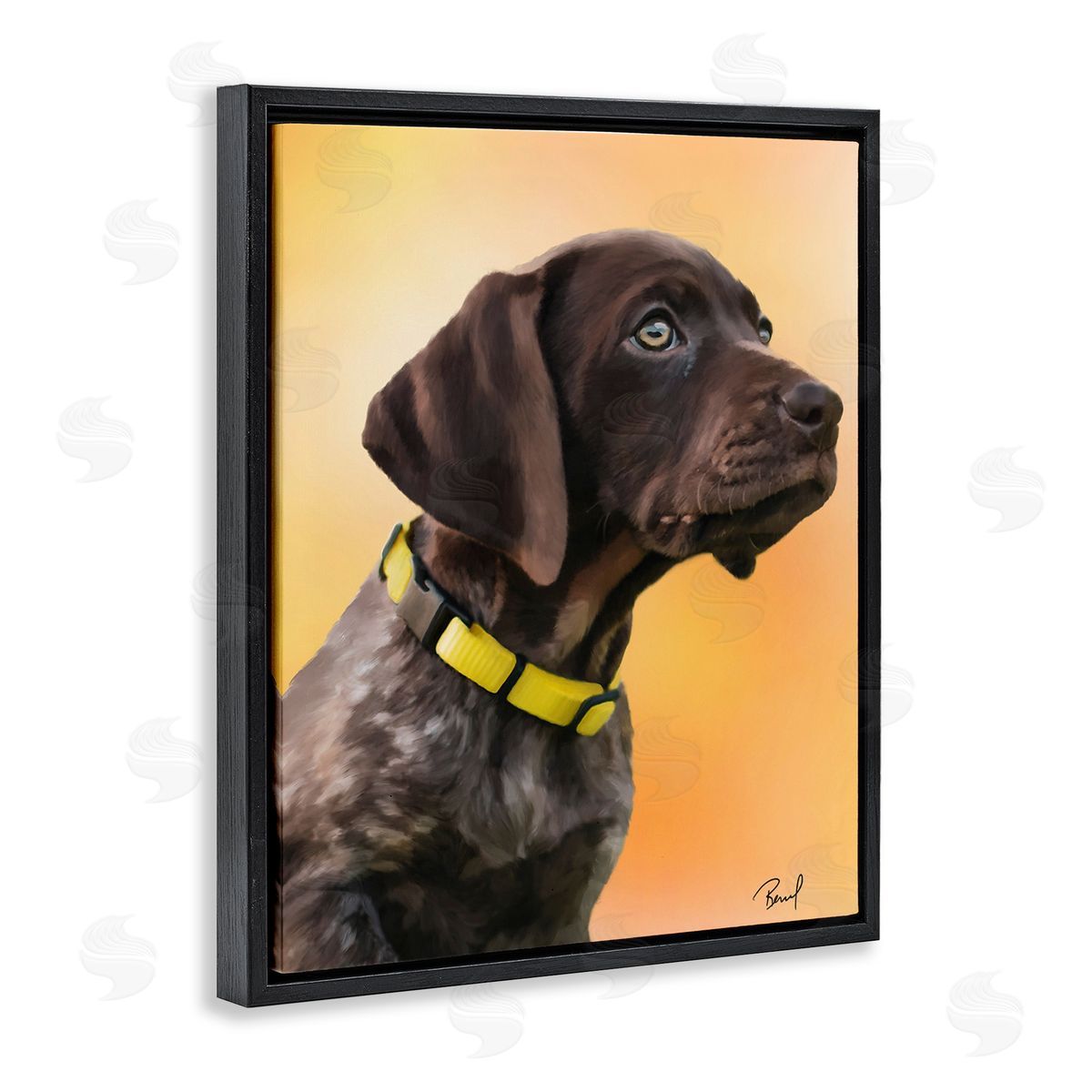 Renel Peters Lab Puppy on Orange