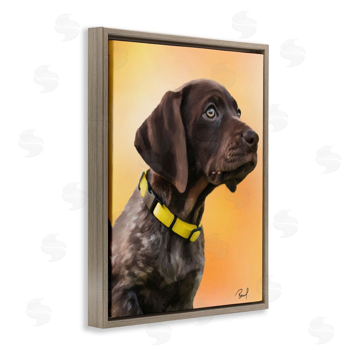 Renel Peters Lab Puppy on Orange