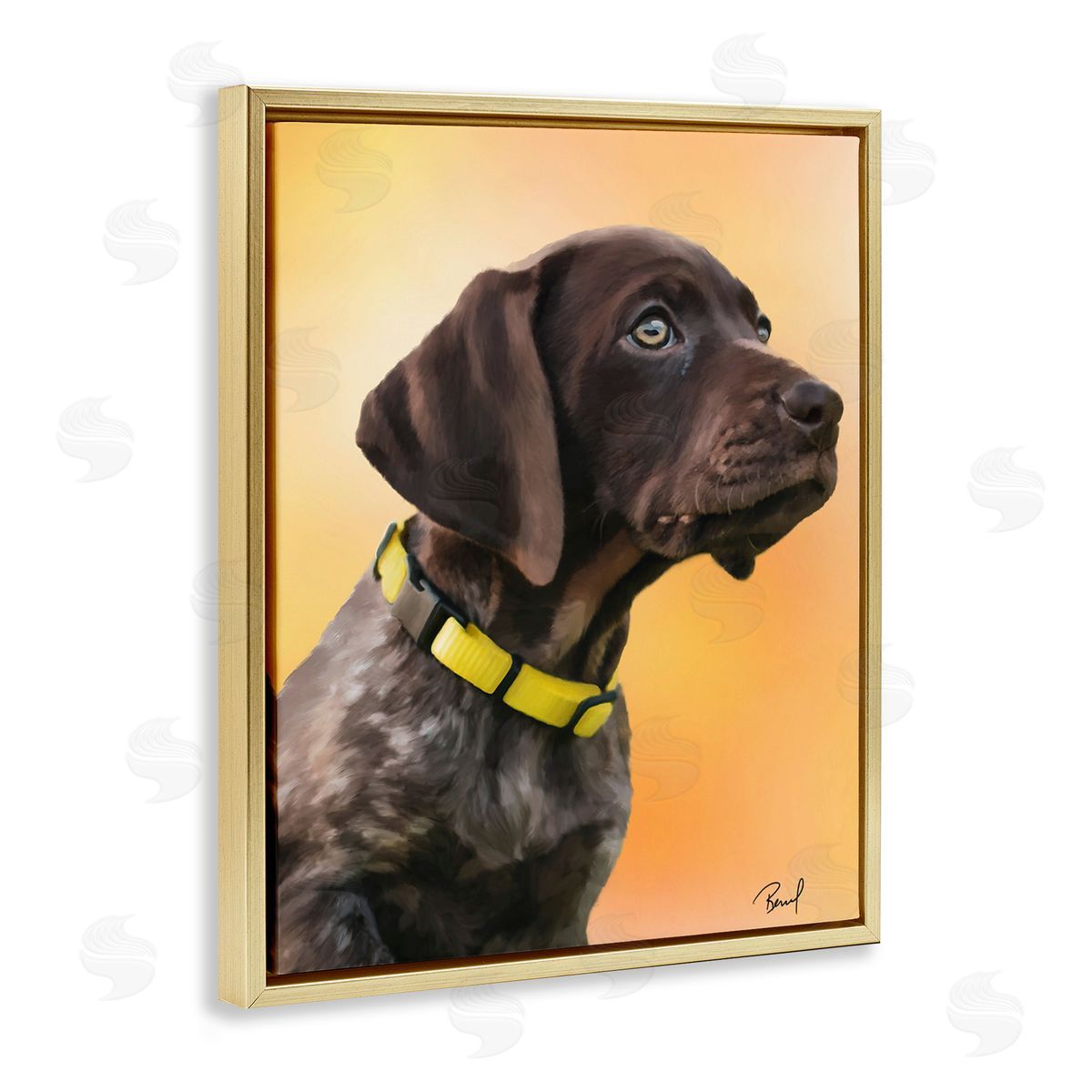 Renel Peters Lab Puppy on Orange