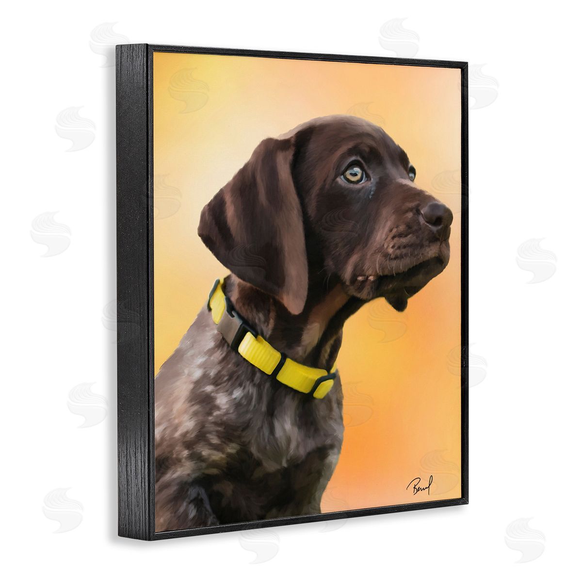 Renel Peters Lab Puppy on Orange
