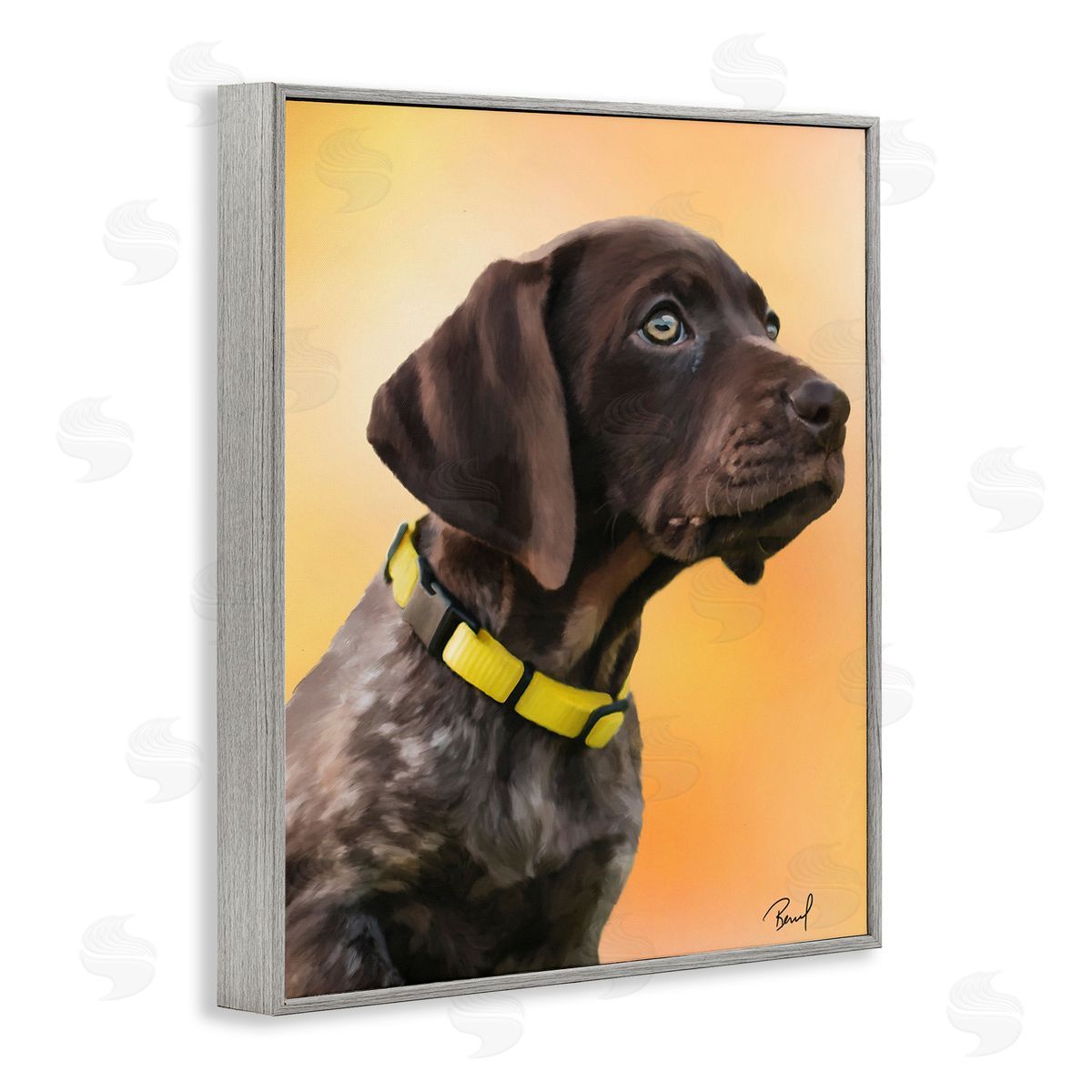 Renel Peters Lab Puppy on Orange