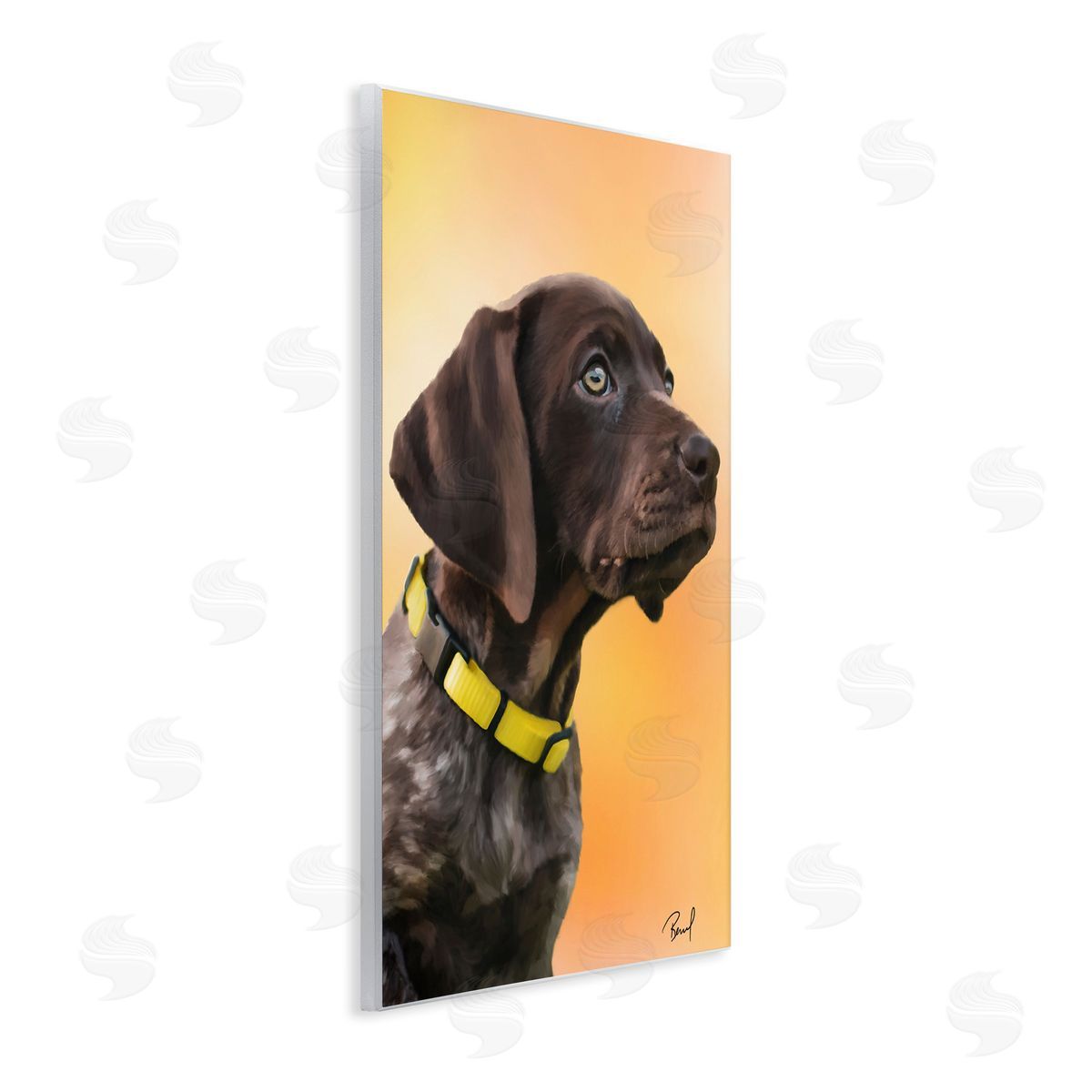 Renel Peters Lab Puppy on Orange