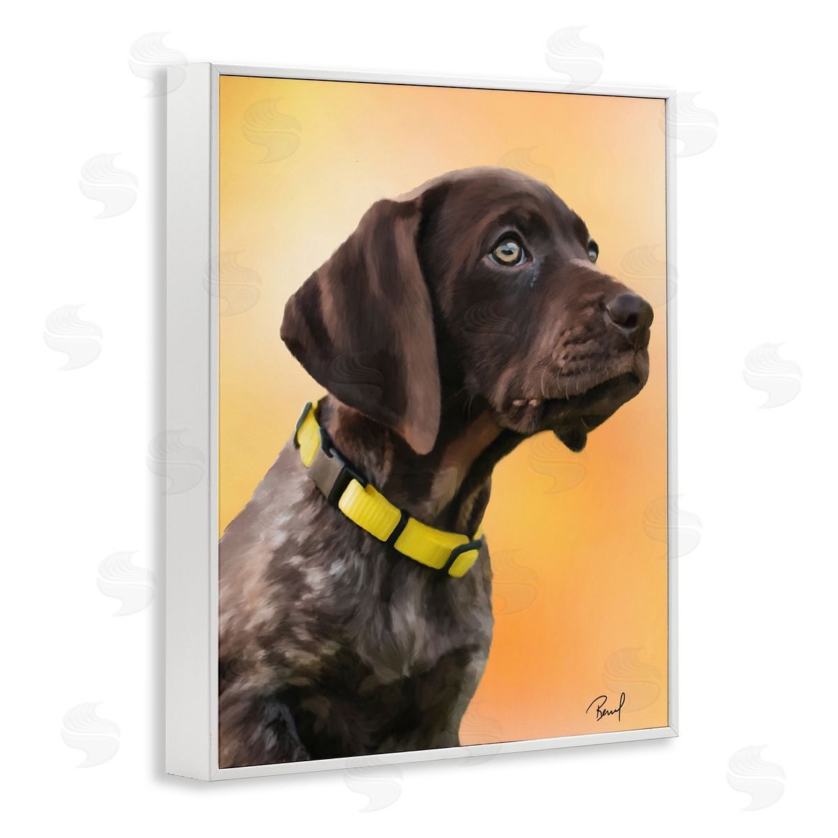 Renel Peters Lab Puppy on Orange