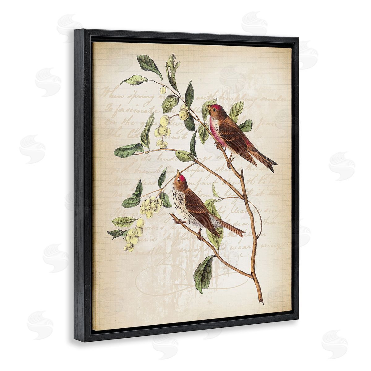 Lula Bijoux & co. Birds with Vintage Cursive