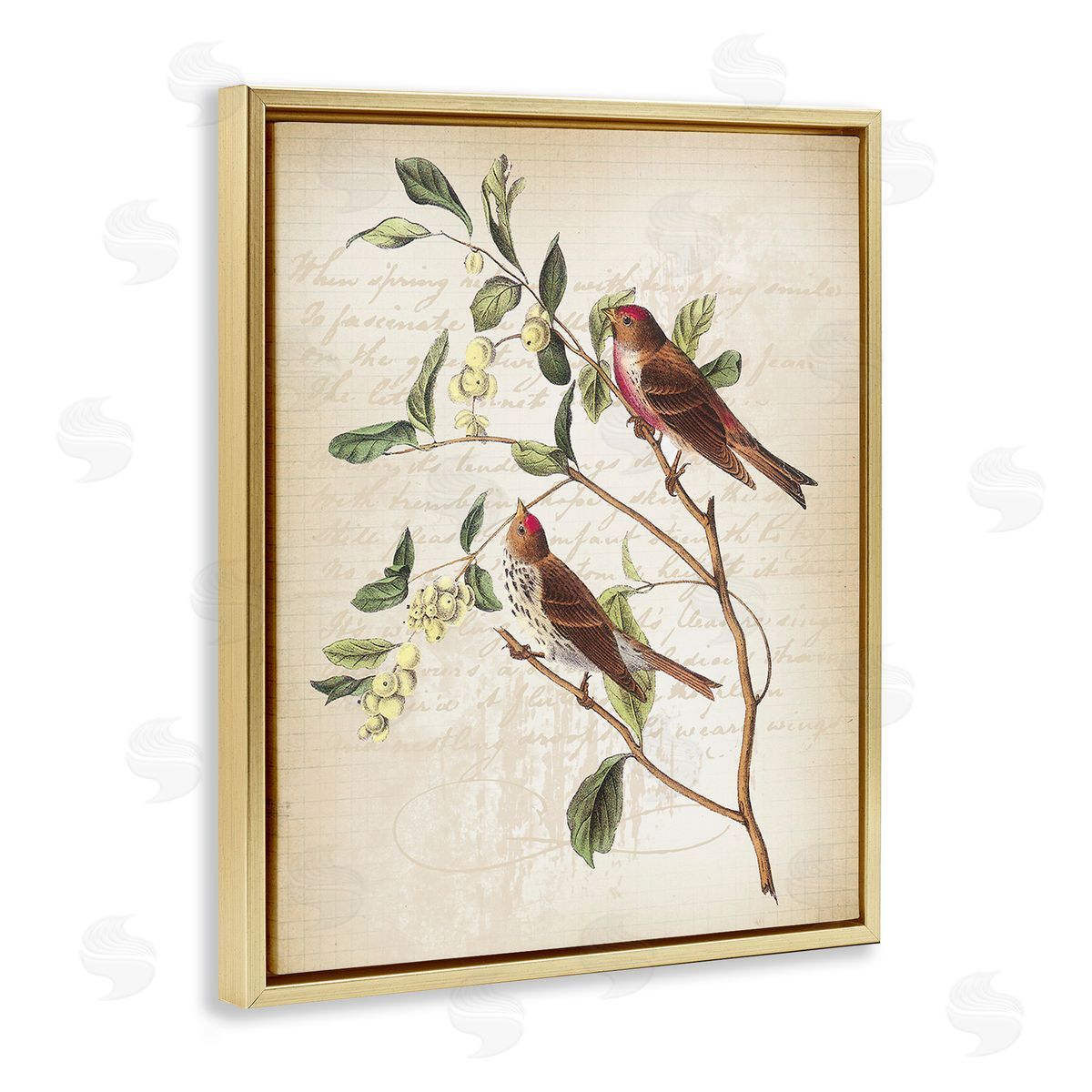 Lula Bijoux & co. Birds with Vintage Cursive