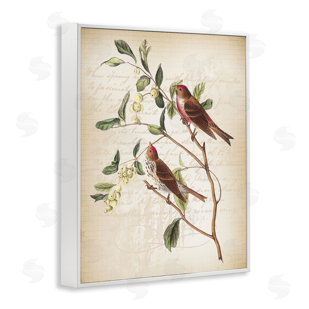 Lula Bijoux & co. Birds with Vintage Cursive