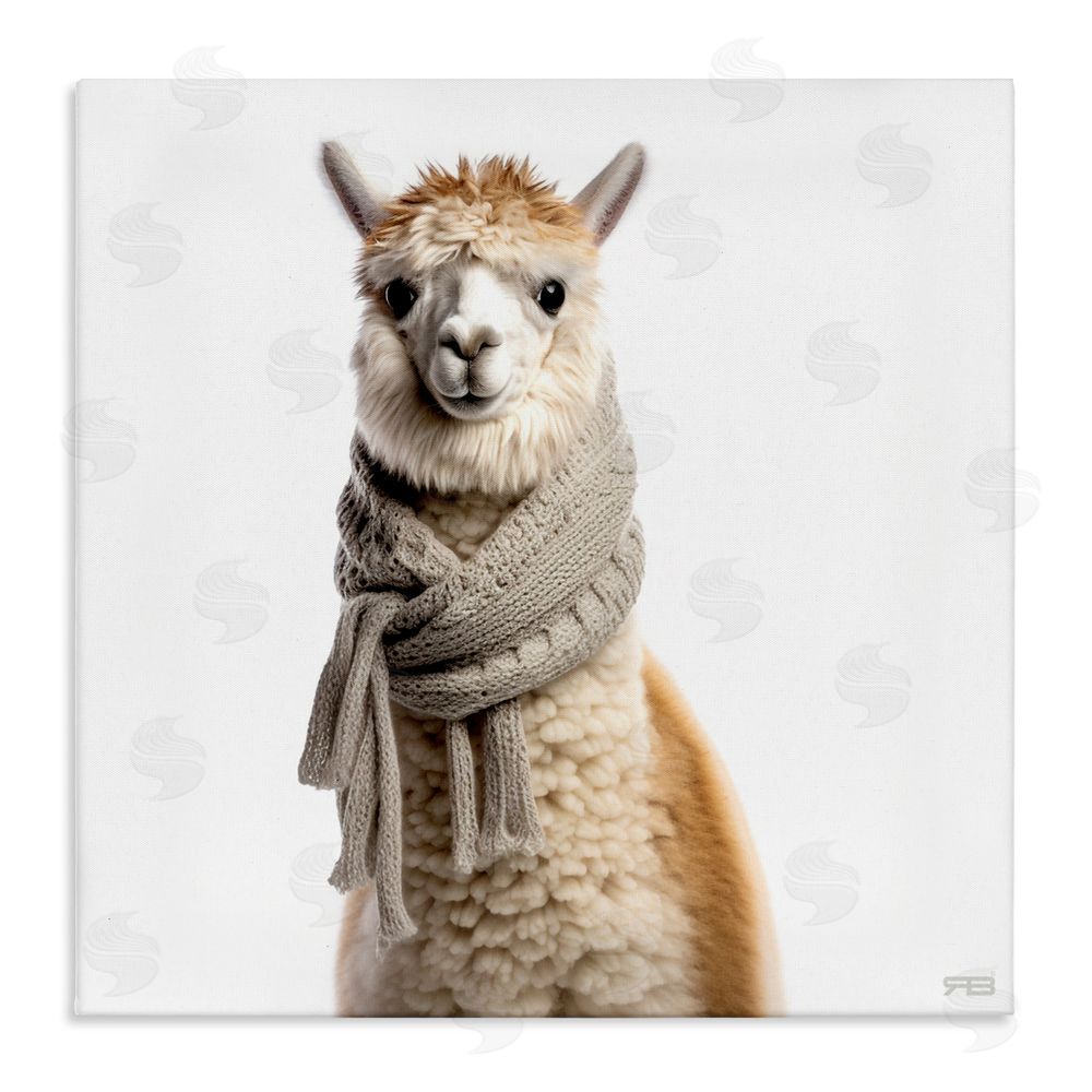 RB Llama Wearing Scarf Stretched Canvas Wall Art Print