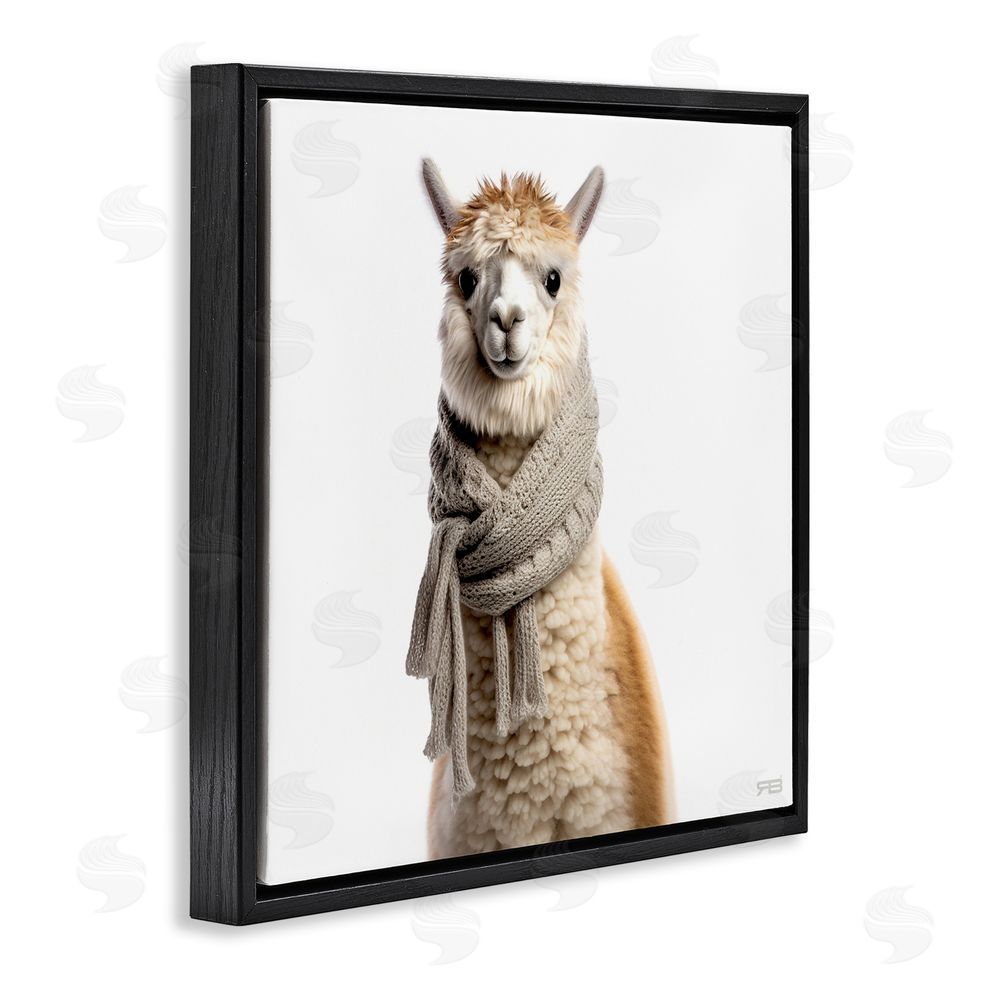 RB Llama Wearing Scarf Black Floating Frame Canvas Wall Art Print