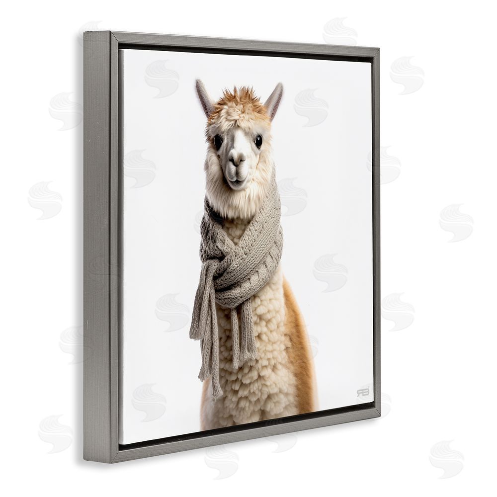 RB Llama Wearing Scarf Gray Floating Frame Canvas Wall Art Print