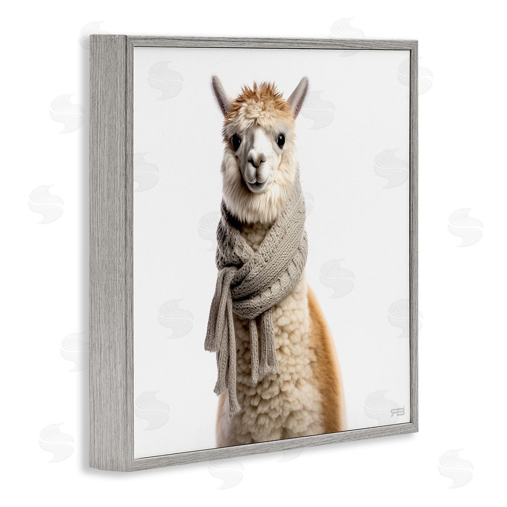 RB Llama Wearing Scarf Gray Framed Glicee Wall Art Print