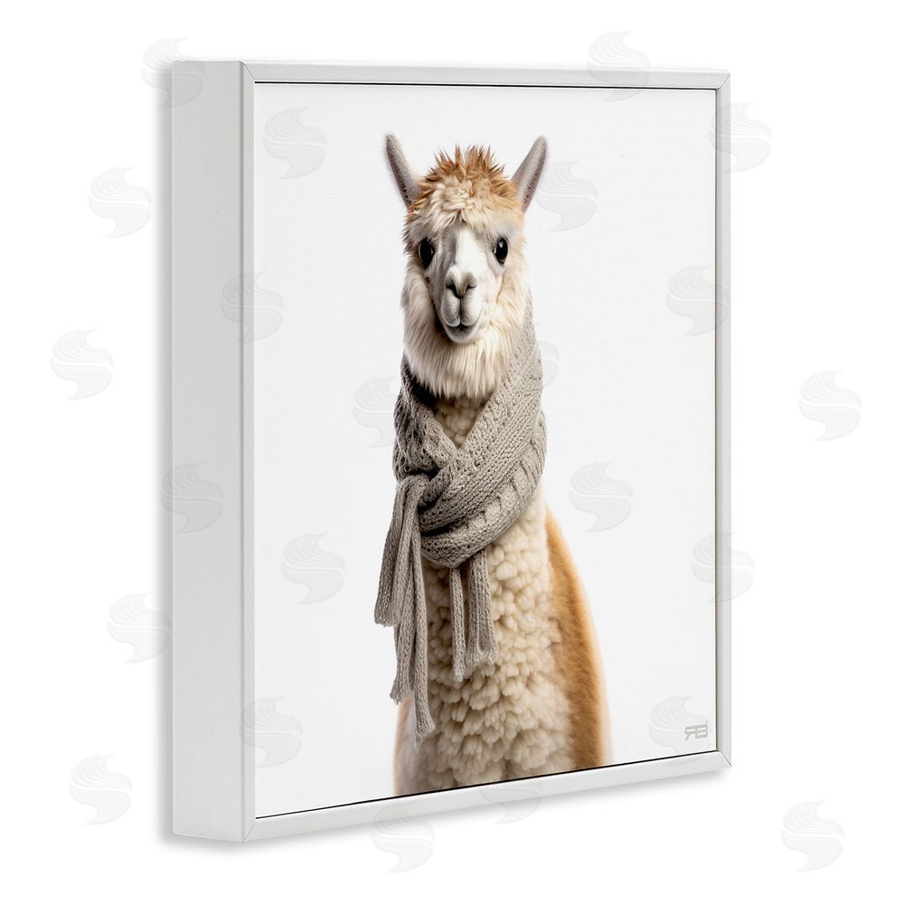 RB Llama Wearing Scarf White Framed Glicee Wall Art Print