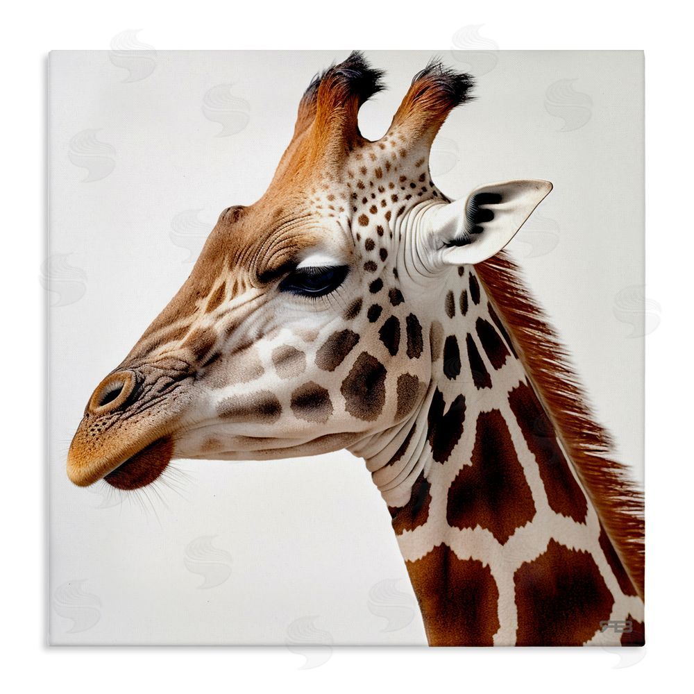 RB Traditional Giraffe Portrait Stretched Canvas Wall Art Print