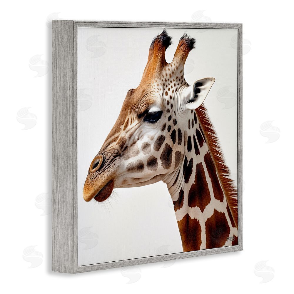 RB Traditional Giraffe Portrait Gray Framed Glicee Wall Art Print