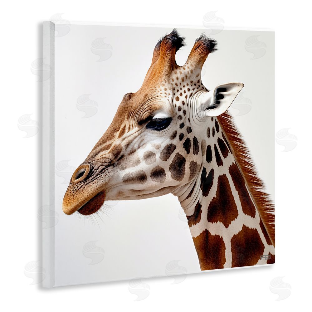 RB Traditional Giraffe Portrait Wooden Wall Plaque Art Print
