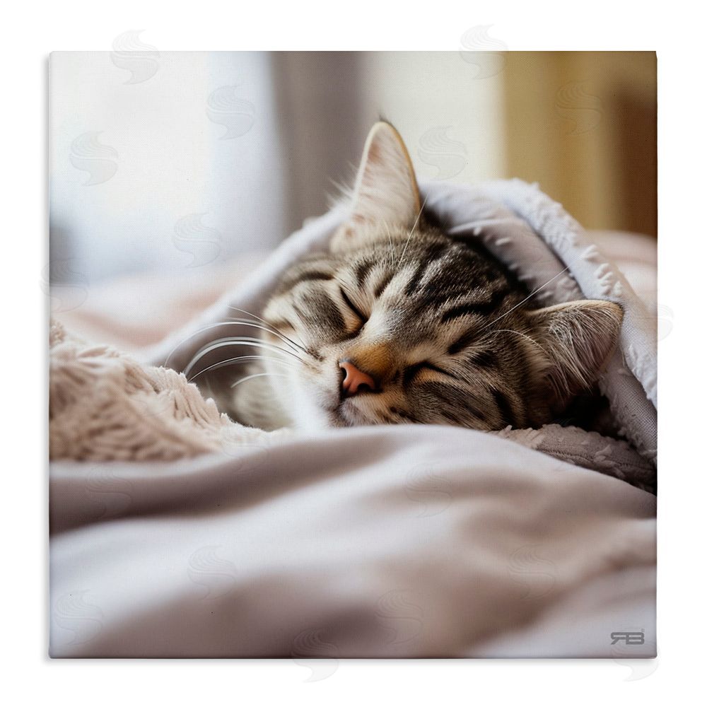 RB Cozy Sleeping Kitten Stretched Canvas Wall Art Print