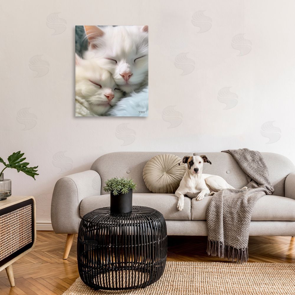 RB Cuddling White Cats