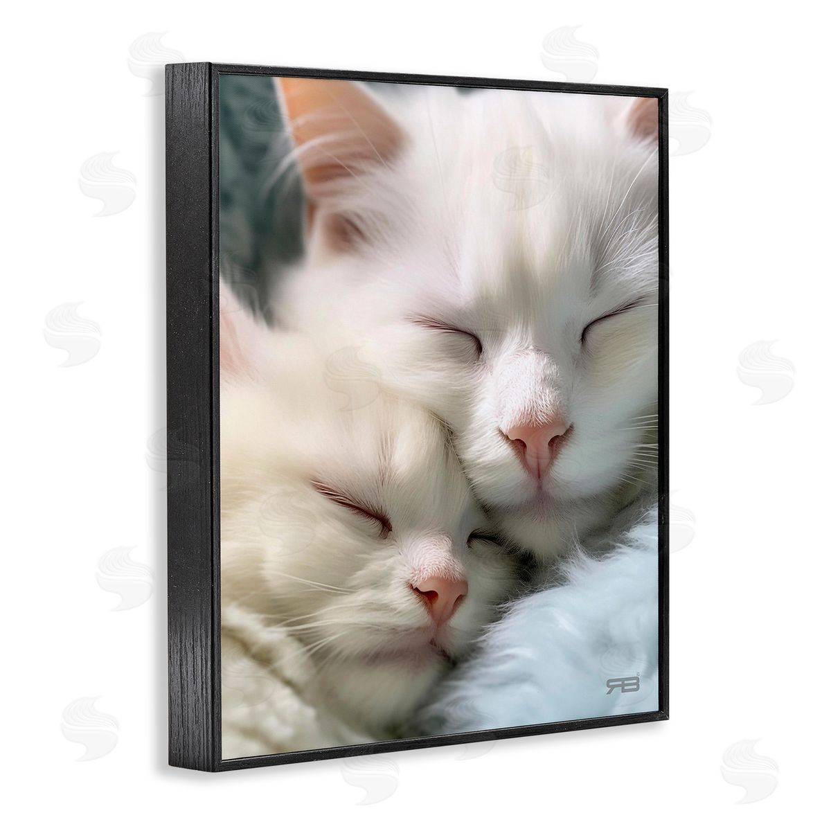 RB Cuddling White Cats