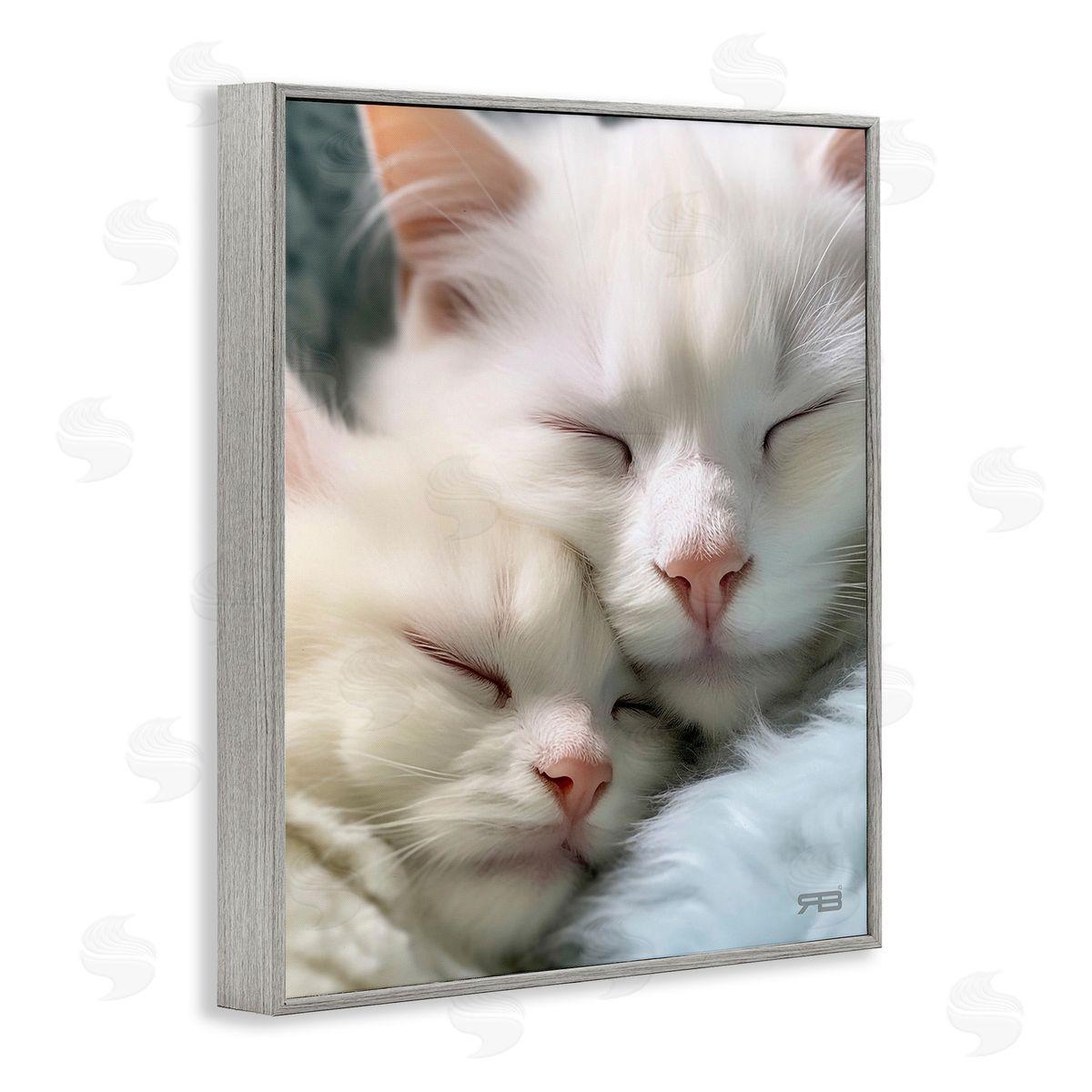 RB Cuddling White Cats