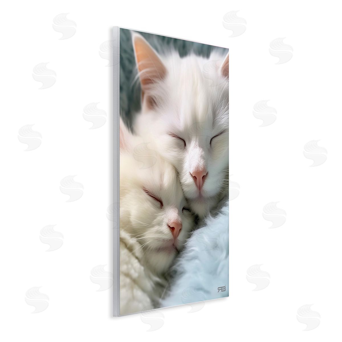 RB Cuddling White Cats