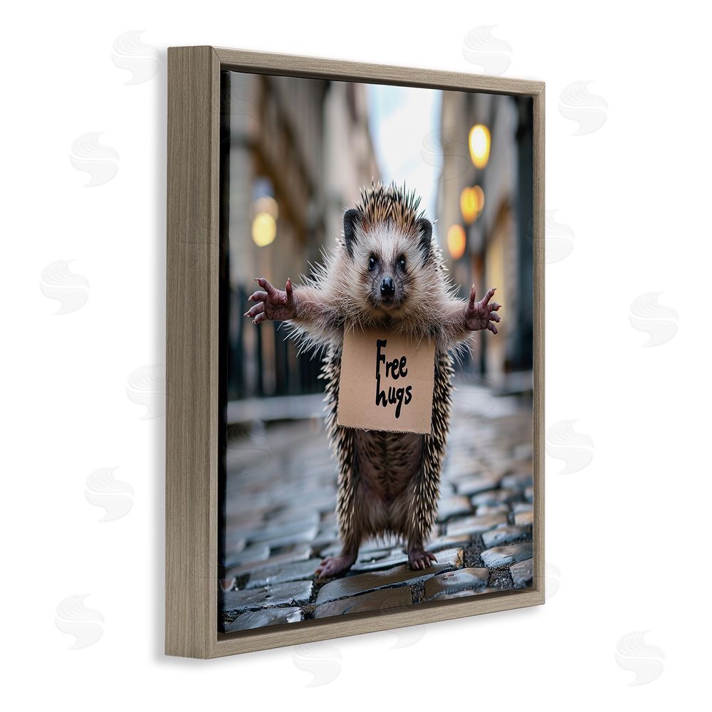 RB Free Hugs Hedgehog Brown Floating Frame Canvas Wall Art Print