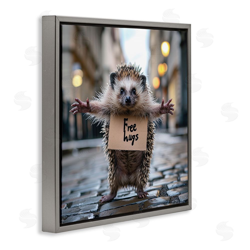 RB Free Hugs Hedgehog Gray Floating Frame Canvas Wall Art Print