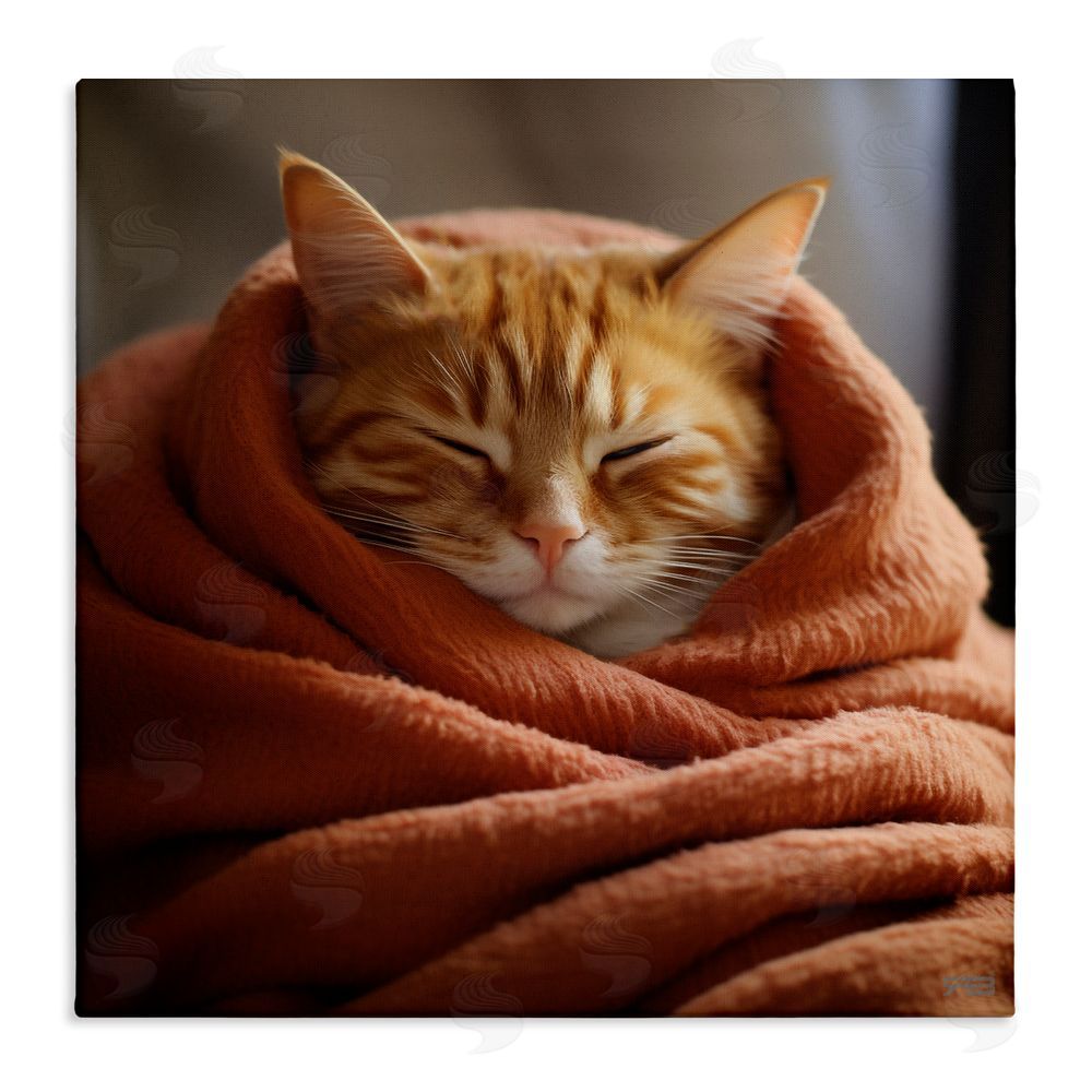 RB Cuddling Sleepy Cat Stretched Canvas Wall Art Print
