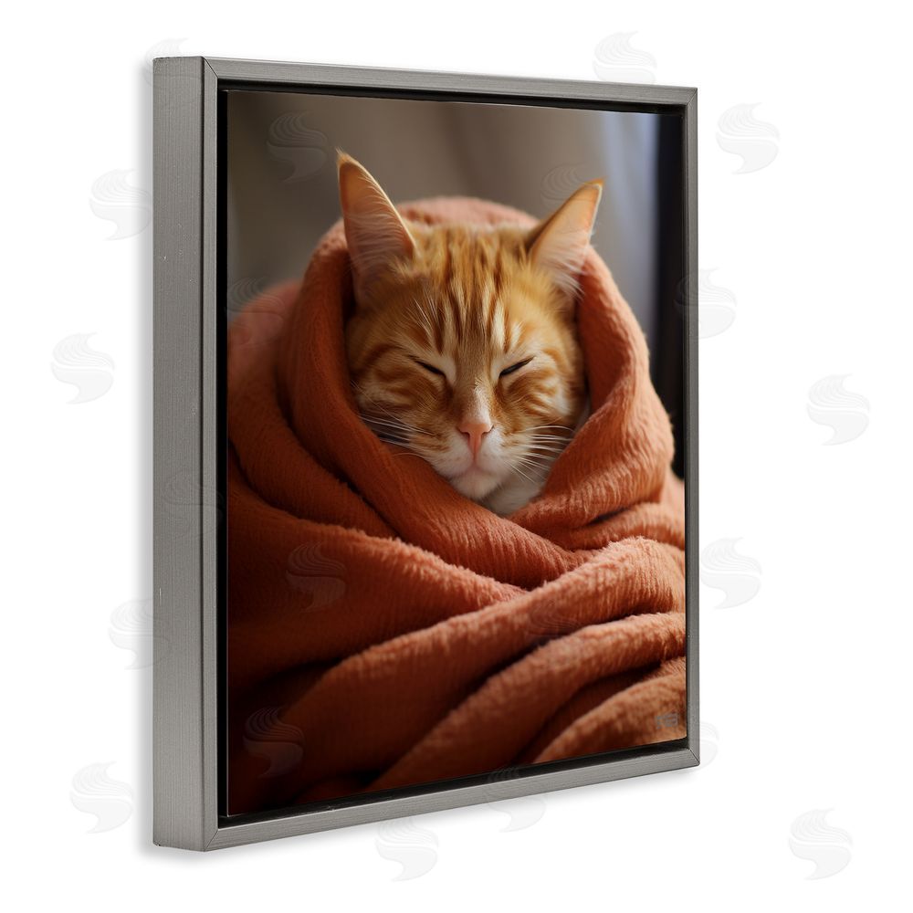 RB Cuddling Sleepy Cat Gray Floating Frame Canvas Wall Art Print