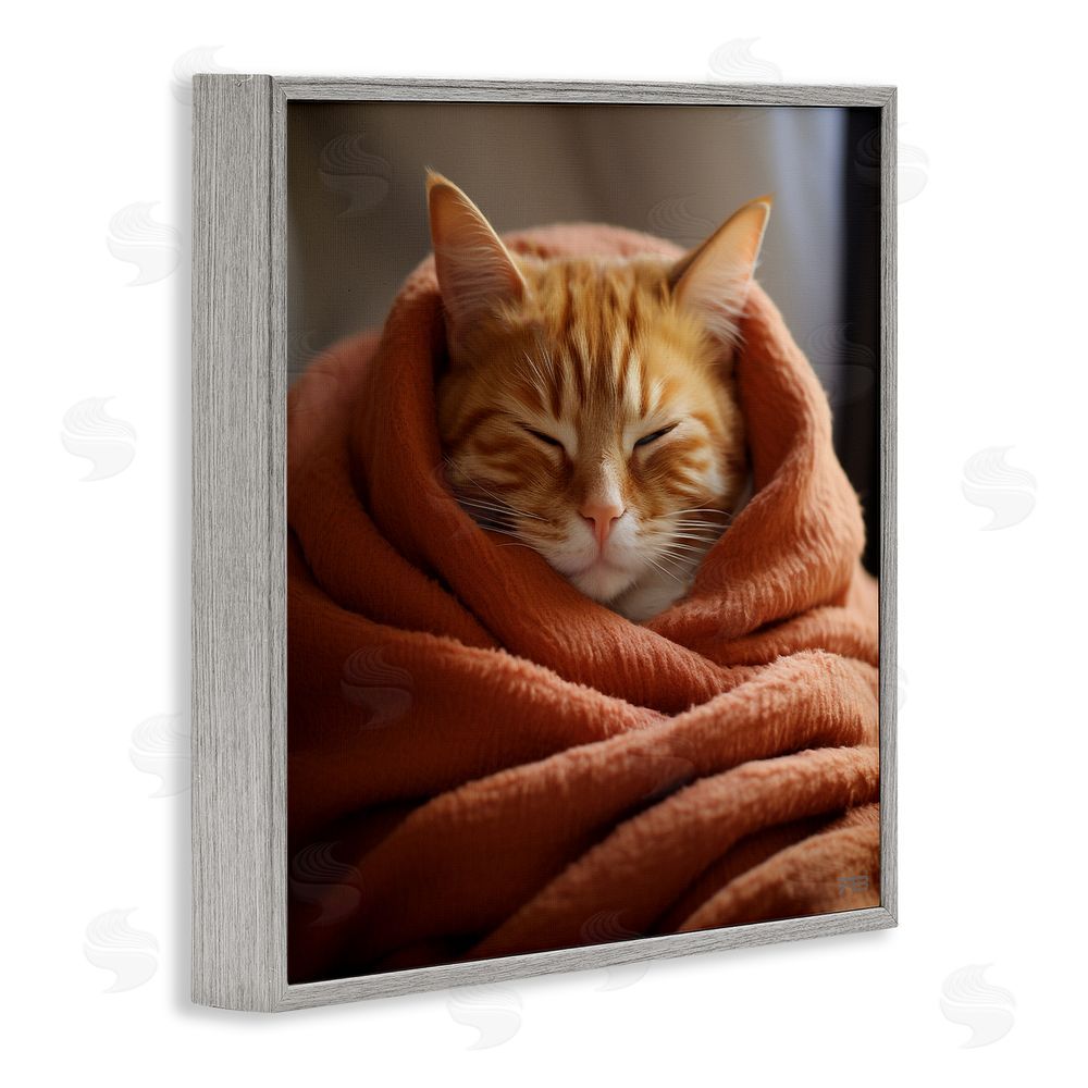 RB Cuddling Sleepy Cat Gray Framed Glicee Wall Art Print