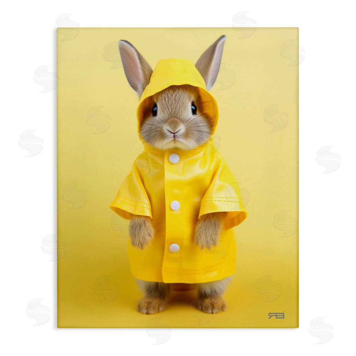 RB Rabbit in Rain Coat