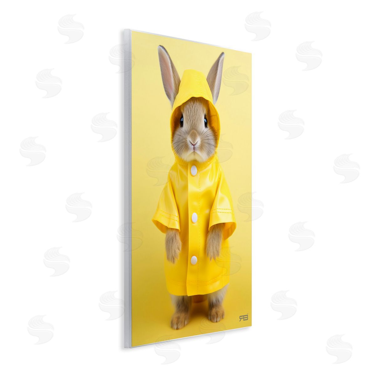 RB Rabbit in Rain Coat