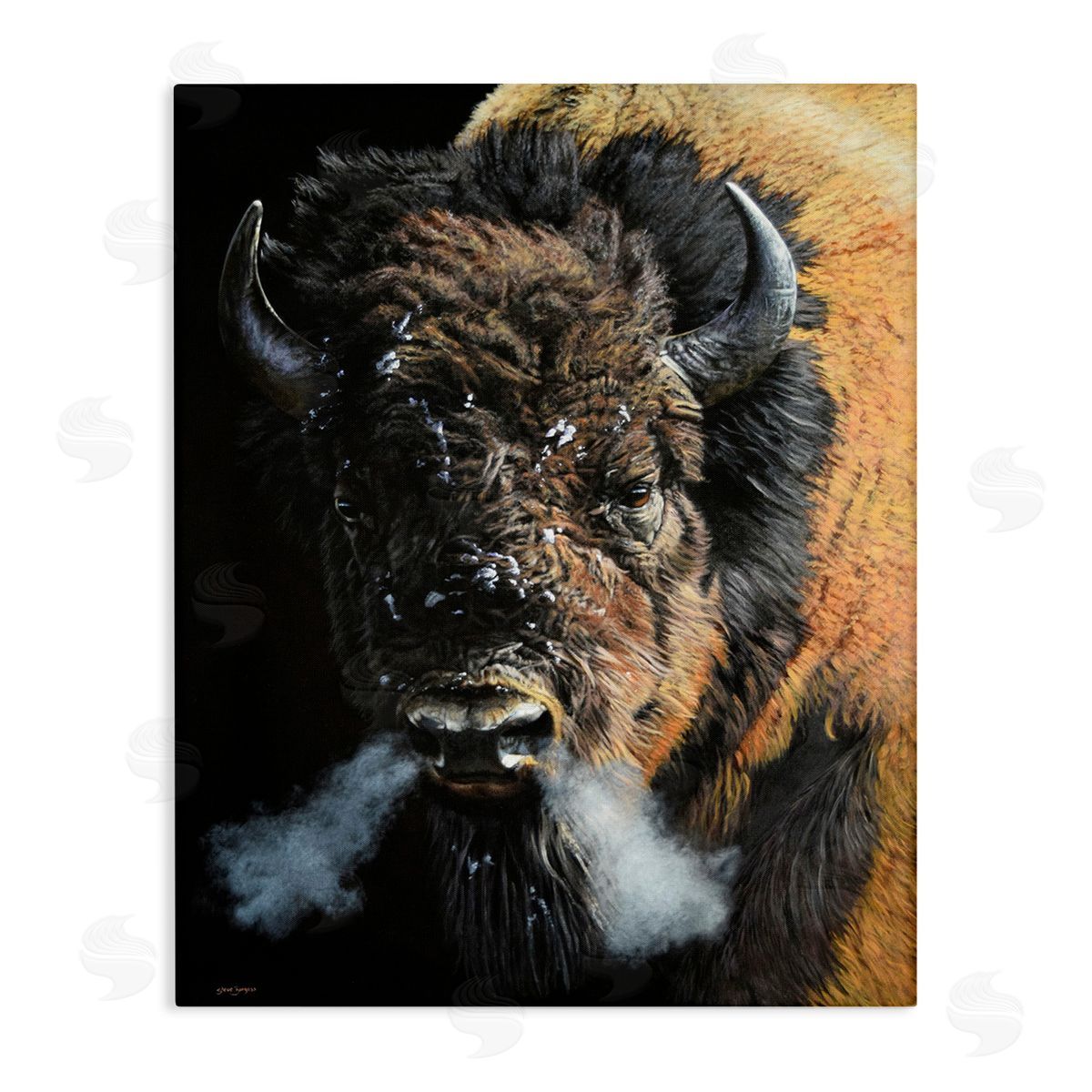 Steve Burgess Bison Breathing Steam