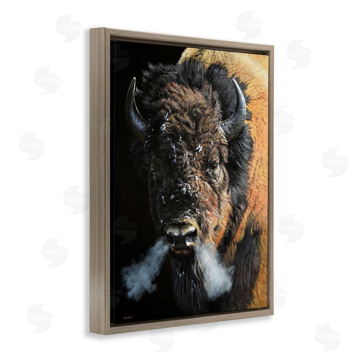 Steve Burgess Bison Breathing Steam