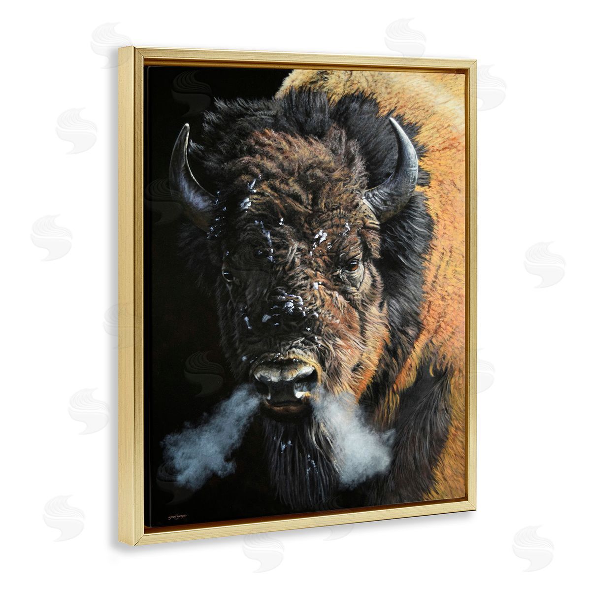 Steve Burgess Bison Breathing Steam