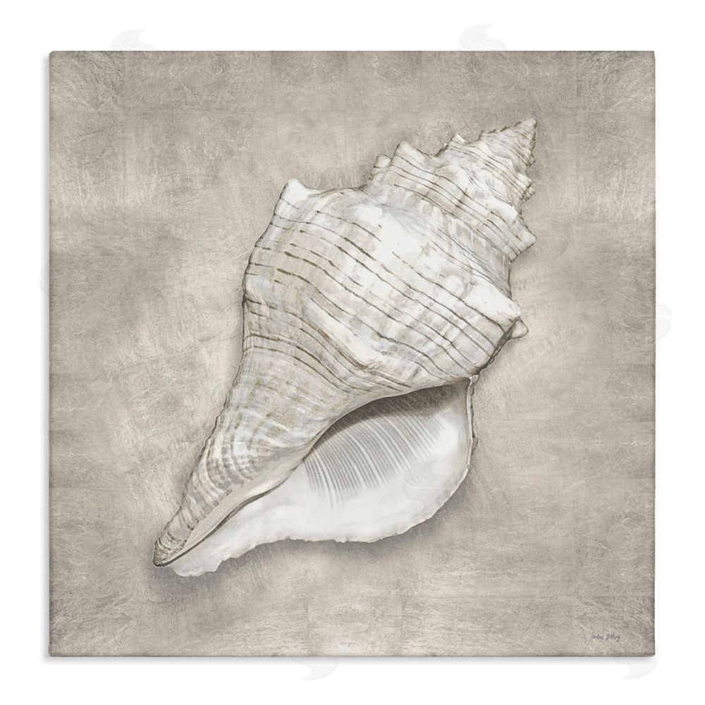 Amber Sterling Rustic Grey Conch Shell Stretched Canvas Wall Art Print
