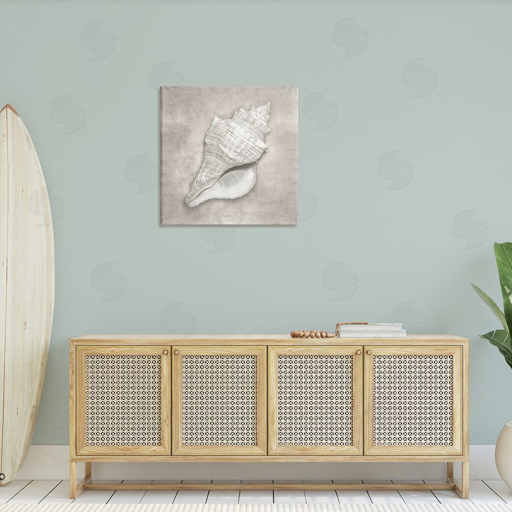 Amber Sterling Rustic Grey Conch Shell Canvas Wall Art in Room
