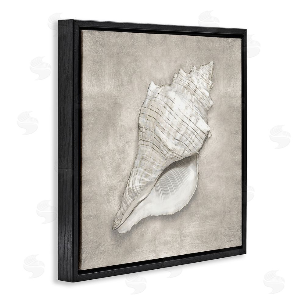 Amber Sterling Rustic Grey Conch Shell Black Floating Frame Canvas Wall Art Print